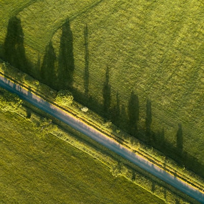 草地附近道路的航空摄影